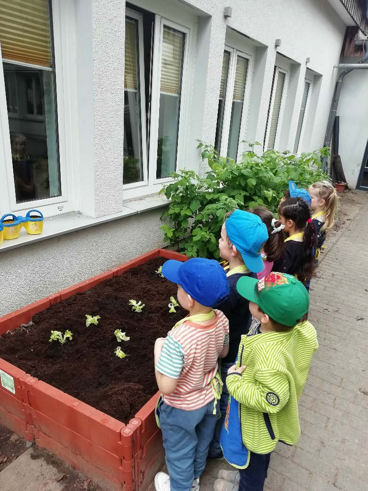 „Gemüsebeete für Kids"